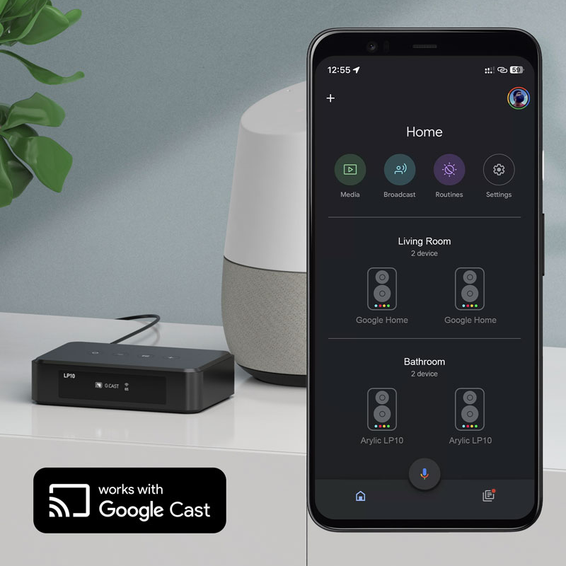 Arylic LP10 HiFi Music Streame - Audio Music Google ulasan dan harga