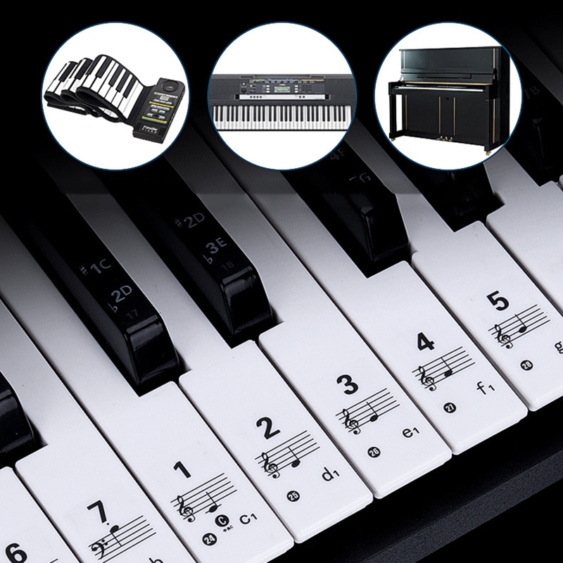 Stiker Keyboard Piano Transpar - Keyboard Piano 61 Key ulasan dan harga