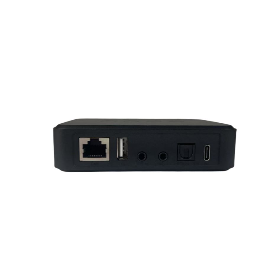 Arylic LP10 WiFi Bluetooth 5.0 - Audio Music Google ulasan dan harga