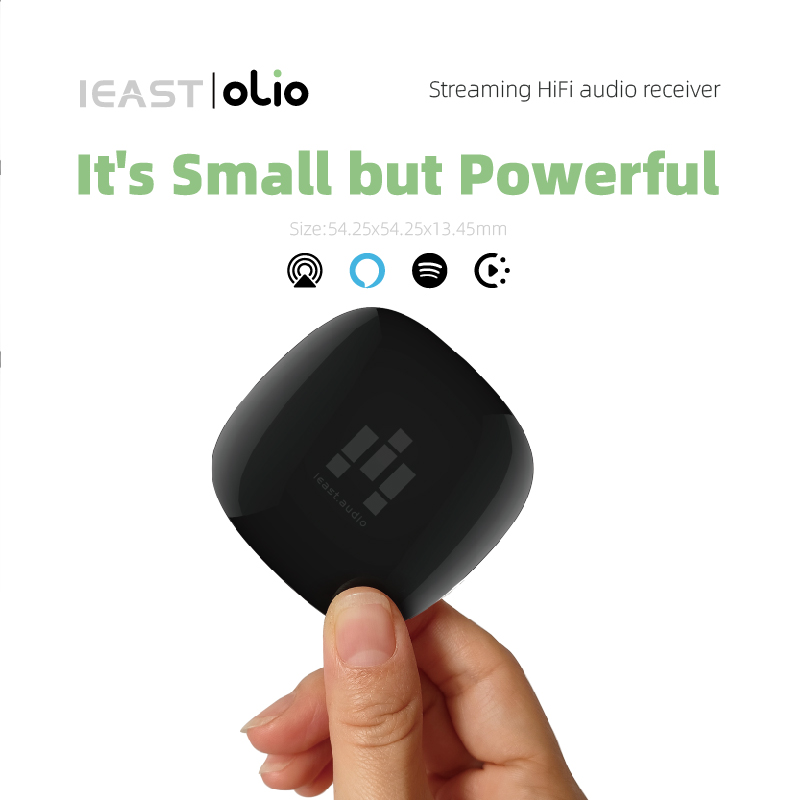 Olio AirPlay2 penerima audio n - Audio Music Google ulasan dan harga